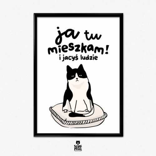 Mieszkanie A6